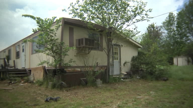 Black Market Fiction